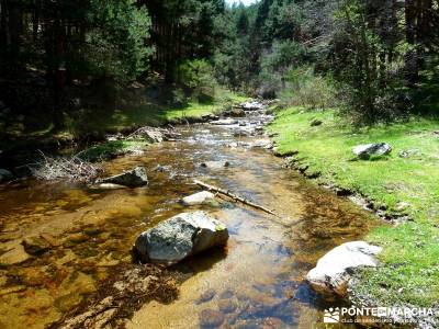 Sestil de Maillo - Cascada de Mojonavalle - Puerto de Canencia; rutas de senderismo cerca de madrid;